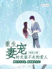 重生军婚宠妻:时光盗不走的爱人