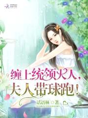 缠上统领大人，夫人带球跑！