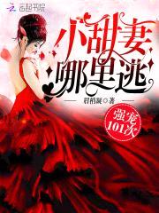 强宠101次:小甜妻,哪里逃