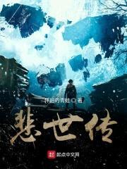 悲世传