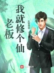 老板,我就修个仙
