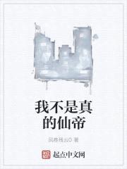 我不是真的仙帝