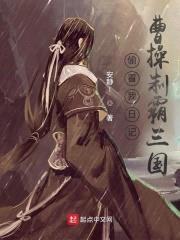 偷看我日记,曹cao制霸三国