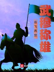岳飞再世,武穆称雄
