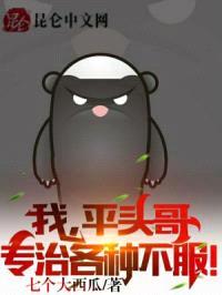 我,平头哥,专治各种不服!