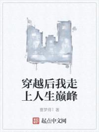 穿越后我走上人生巅峰