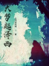 大梦起泽西
