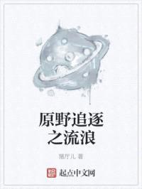 原野追逐之流浪