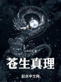 承天之传