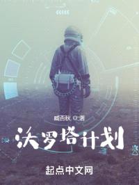 沃罗塔计划