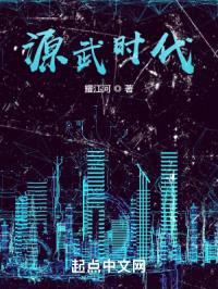 源武时代