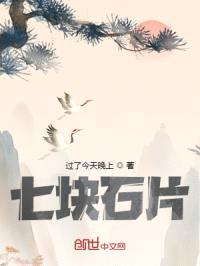 七块石片