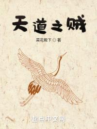 天道之贼