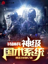 特种兵：神级国术系统