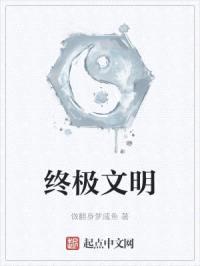 终极文明