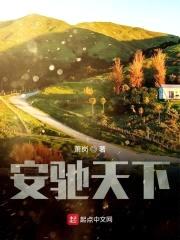 安驰天下