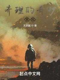 齐理的奇妙冒险
