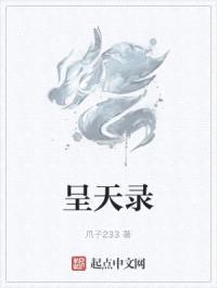 呈天录