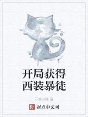 开局获得西装暴徒