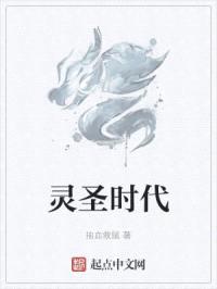 灵圣时代