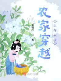 农家穿越生存实录