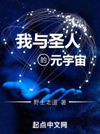 我与圣人的元宇宙