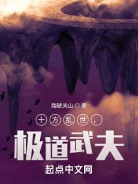 十方乱世,极道武夫