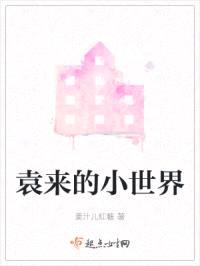 袁来的小世界