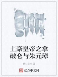 土豪皇帝之拿破仑与朱元璋