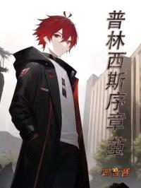 普林西斯序章茧