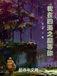 我在四海之巅等你