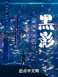 都市守卫之黑影