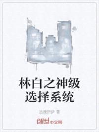 林白之神级选择系统