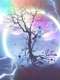 宝可梦:新生之虹