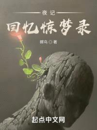 夜记回忆惊梦录