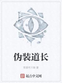 伪装道长