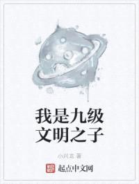 我是九级文明之子