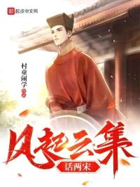 风起云集话两宋