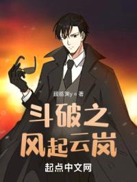 斗破之风起云岚