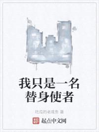 我只是一名替身使者