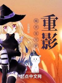 精灵宝可梦重影