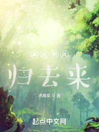 乘此朔风归去来